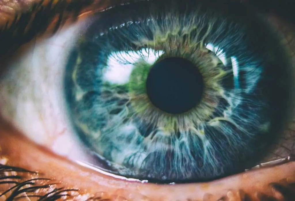 ¿Cuáles son las partes del ojo humano?