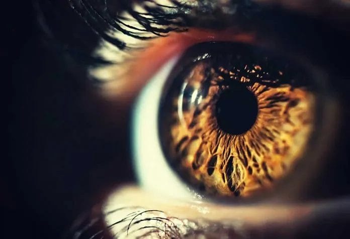 Datos asombrosos sobre el ojo humano para niños